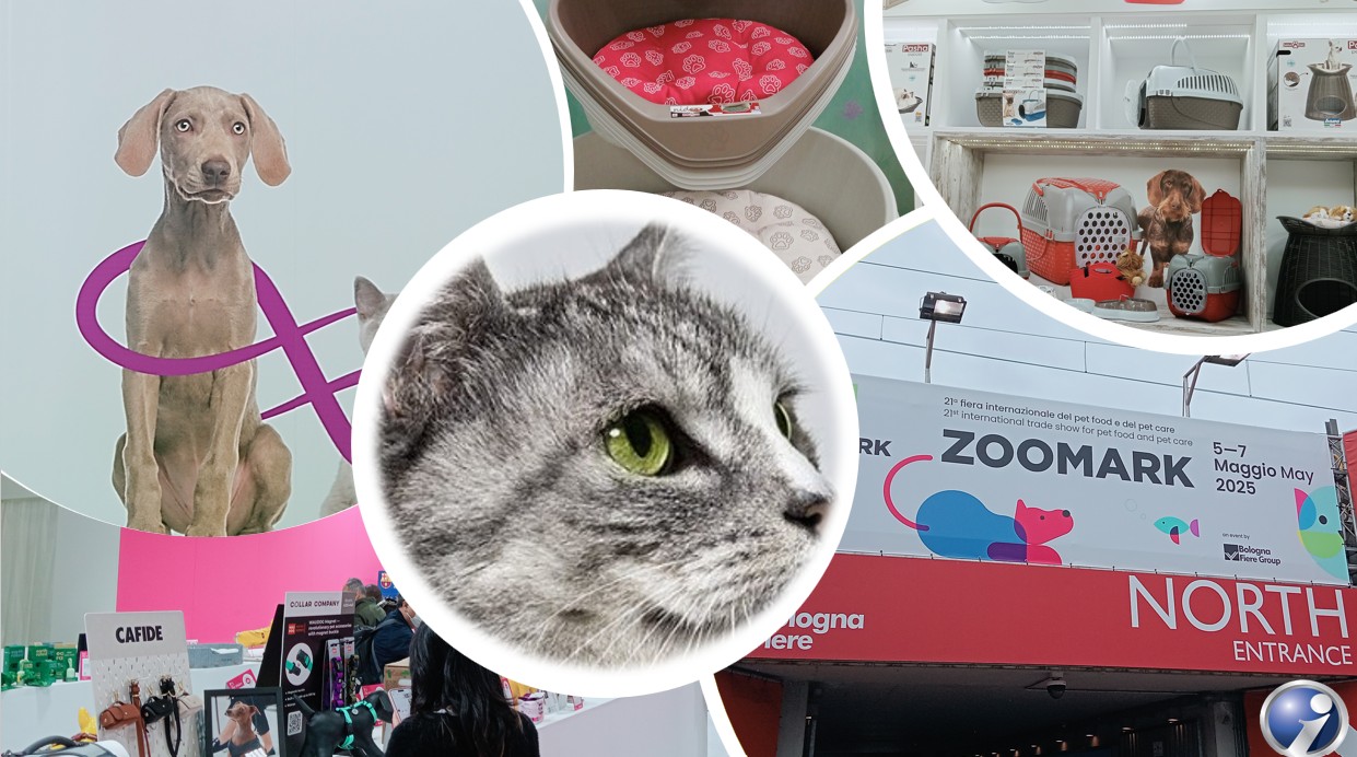 ITACA è vicina anche al mondo Pet: quando la produzione incontra il rispetto per i nostri compagni di vita
